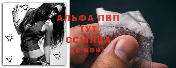 apvp Богородицк