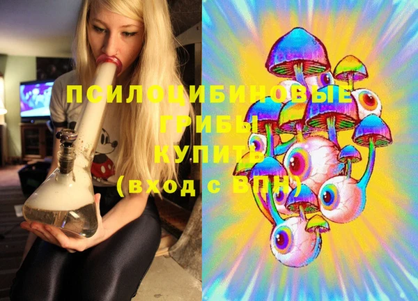 apvp Богородицк
